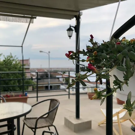 Anna Georgiou Daire *